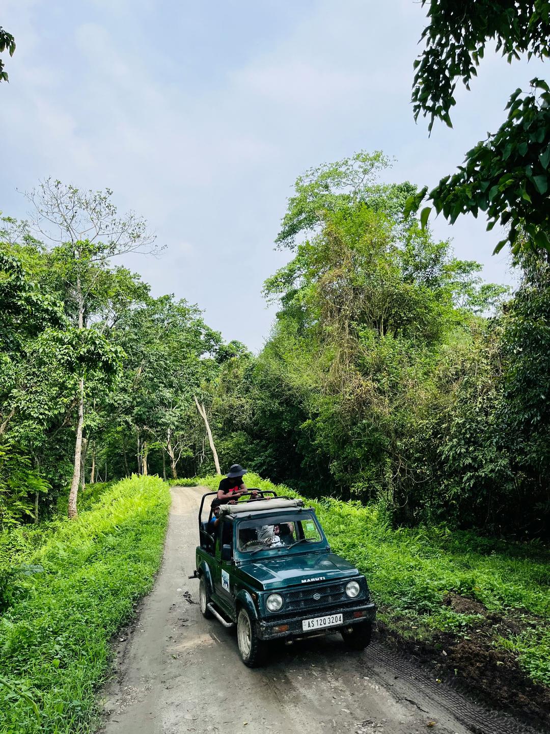 Kaziranga